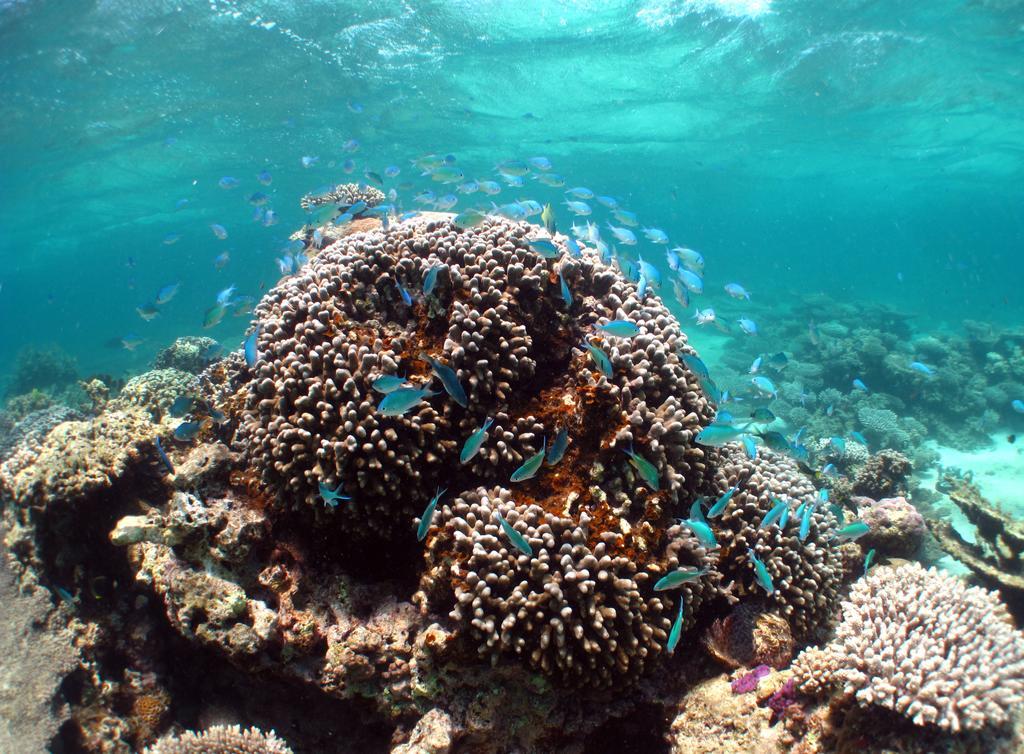ホテル Ningaloo Coral Bay - Bayview エクステリア 写真