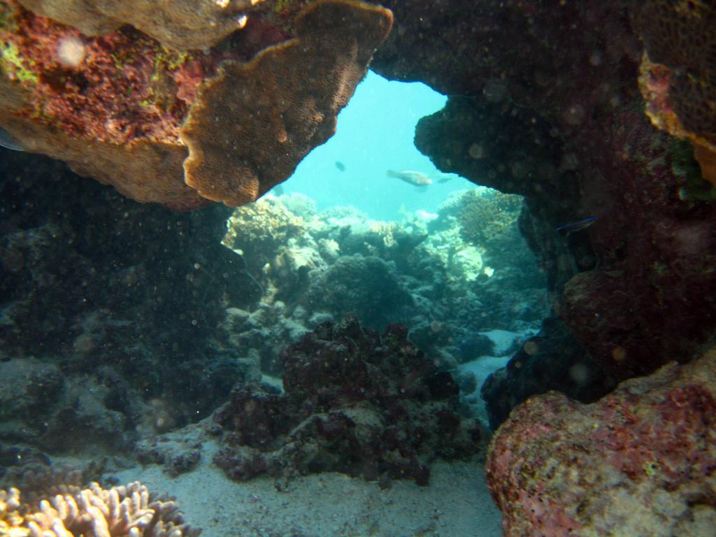 ホテル Ningaloo Coral Bay - Bayview エクステリア 写真
